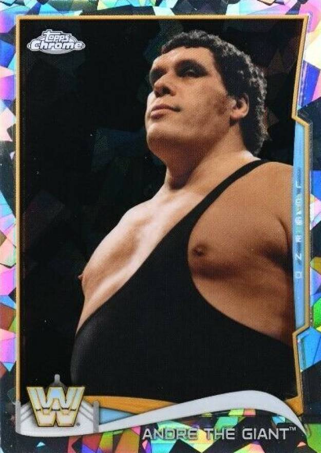 2014 Topps Chrome WWE Andre the Giant #96 Other Sports Card