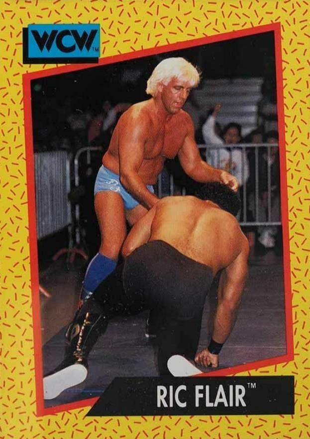 1991 Impel WCW Wrestling Ric Flair #38 Other Sports Card