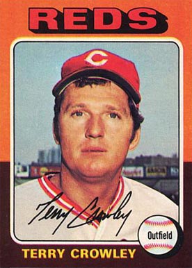 1975 Topps Terry Crowley #447 Baseball Card