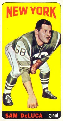 1965 Topps Sam Deluca #113 Football Card