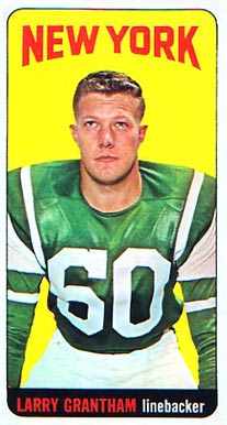 1965 Topps Larry Grantham #114 Football Card