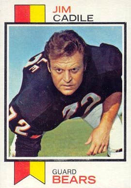 1973 Topps Jim Cadile #353 Football Card