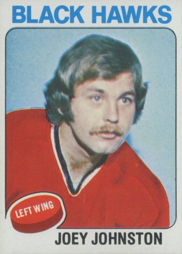 1975 Topps Joey Johnston #193 Hockey Card