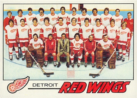 1977 Topps Red Wings Team #77 Hockey Card