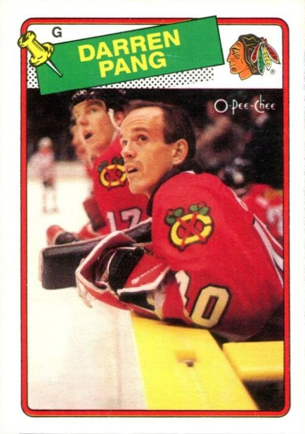 1988 O-Pee-Chee Darren Pang #51 Hockey Card