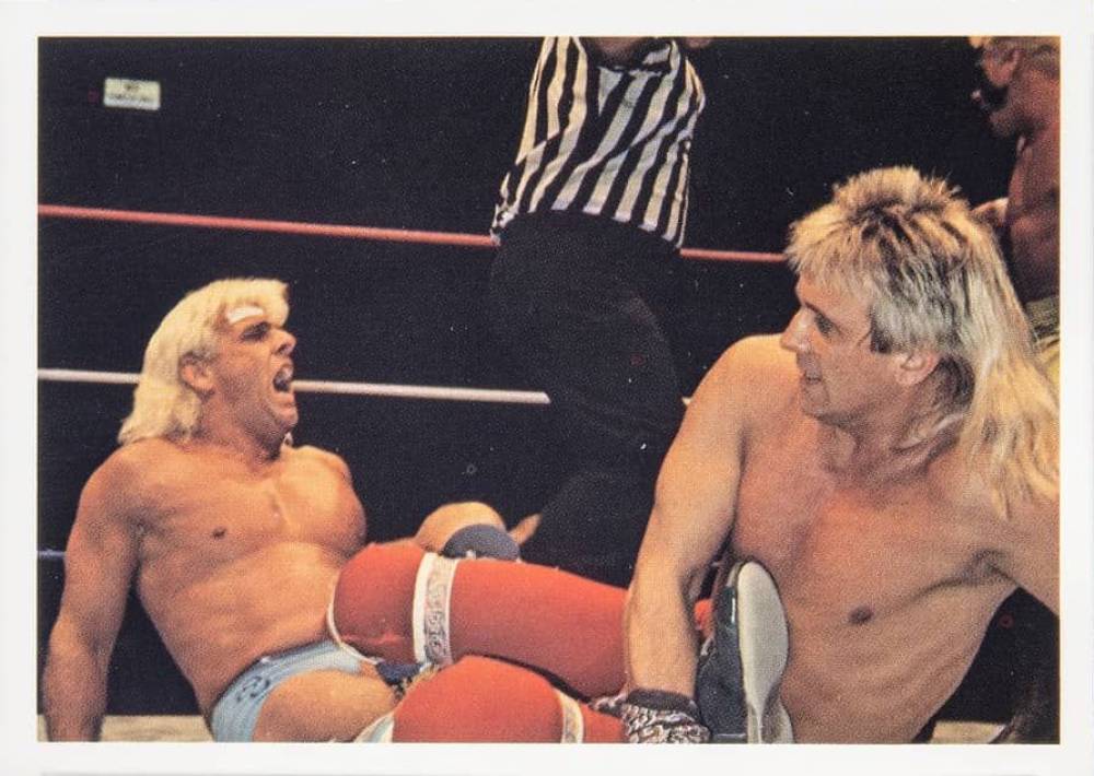 1988 Wonderama NWA Wrestling Superstars Ric Flair/Ricky Morton #136 Other Sports Card