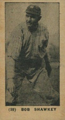 1927 York Caramel Type 1 Bob Shawkey #59 Baseball Card