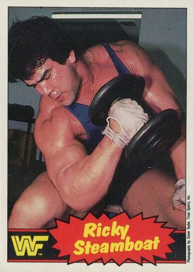 1985 O-Pee-Chee WWF Wrestling Stars Series 2 Ricky Steamboat #5 Other Sports Card