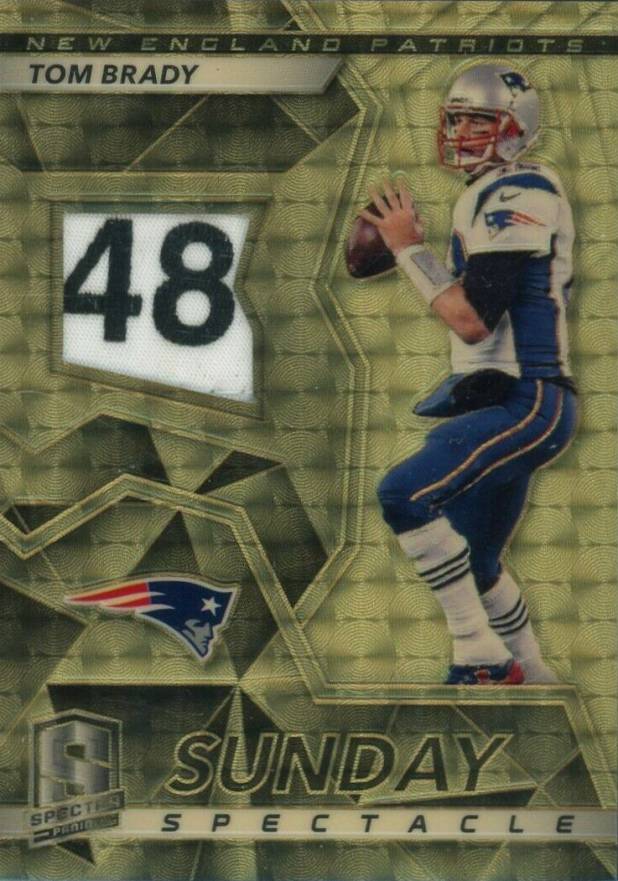 2017 Panini Spectra Sunday Spectacle Relics Tom Brady #49 Football Card